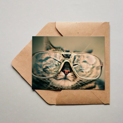 Postkarte Cat